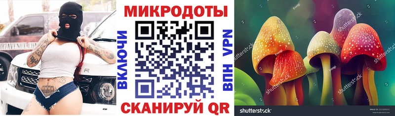 Галлюциногенные грибы Cubensis Унеча