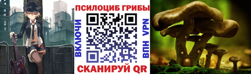 Псилоцибиновые грибы прущие грибы  Унеча 